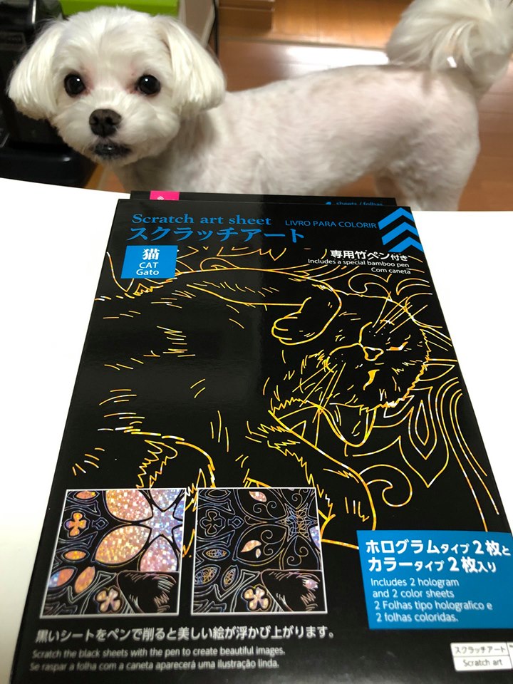 100円ショップダイソー！猫のスクラッチアート！